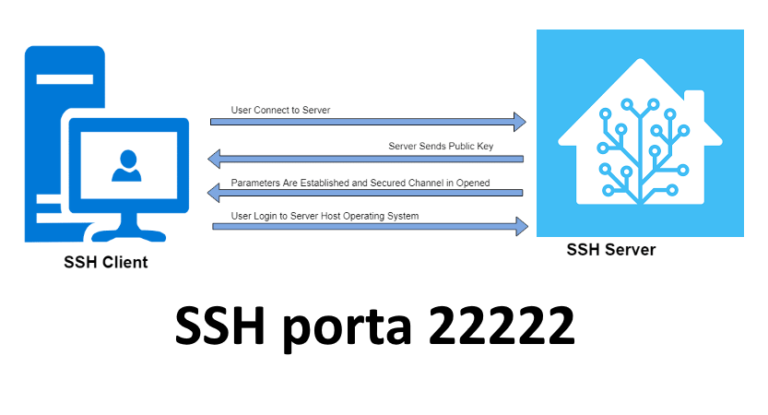 SSH porta 22222